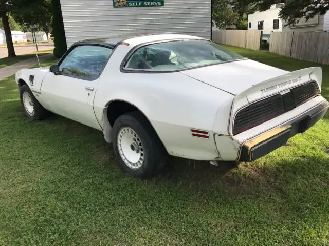 1980 trans am pace car. own a piece of the past