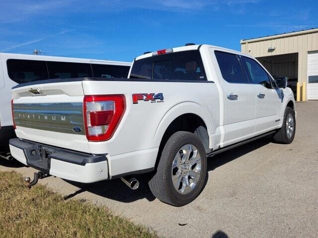 2021 ford f-150 platinum