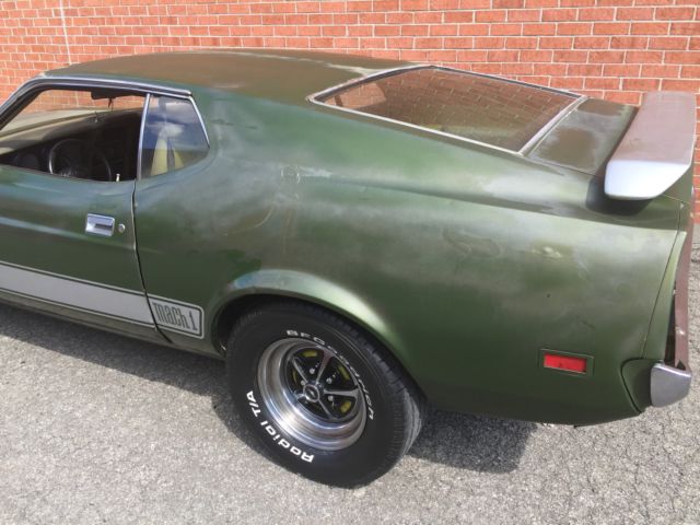 mustang mach 1 fastback