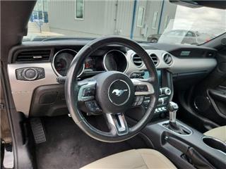 2021 Ford Mustang ecoboost premium