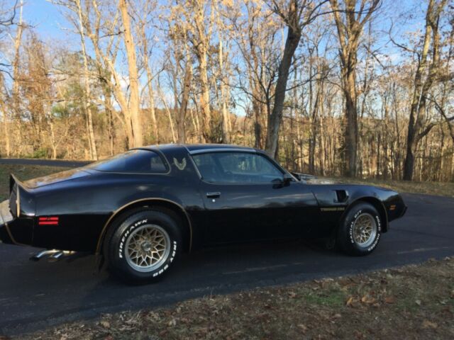 1979 pontiac trans am special edition y84 ws6 bandit car