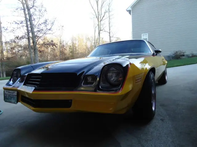 1979 rally sport camaro