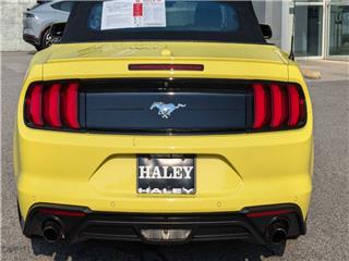 2021 Ford Mustang ecoboost premium