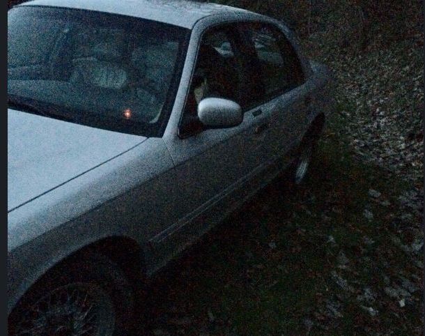 1999 ford crown victoria for sale in tennessee by owner