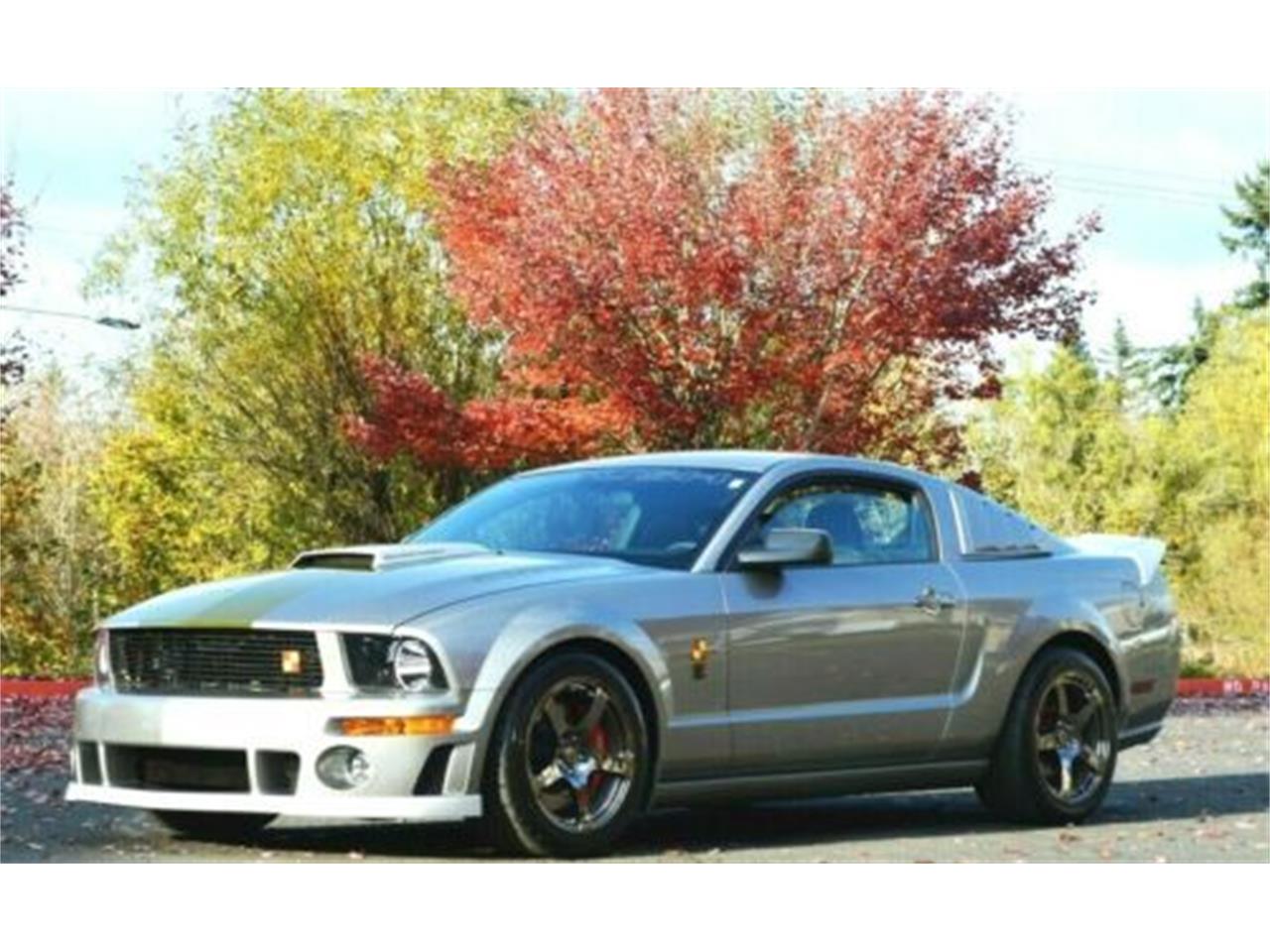 2009 ford mustang