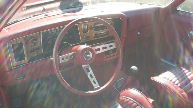 1978 amc pacer dl