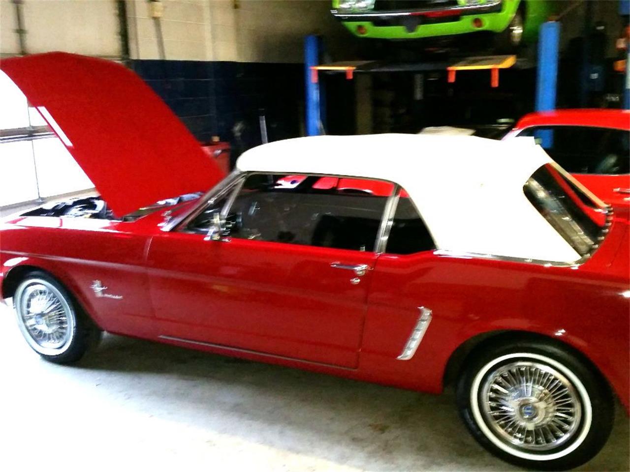 1965 ford mustang