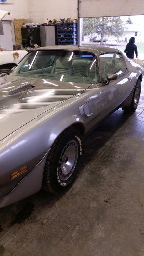 1979 pontiac firebird trans am 10th anniversary tata 403 auto pace car