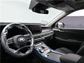 2025 Hyundai Palisade limited