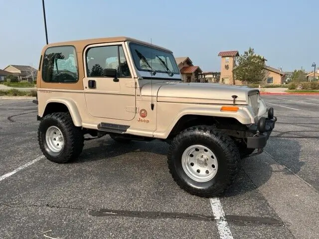 1993 jeep wrangler sahara with the 4.0 from california with low miles