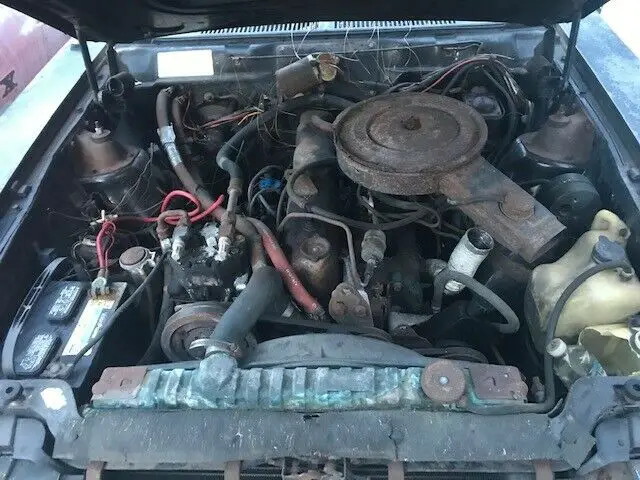 1979 amc spirit amx project car