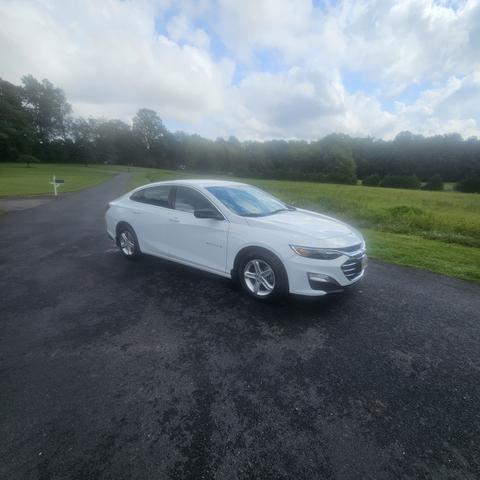 2019 chevrolet malibu 1ls