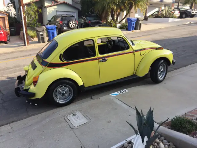 1973 limited edition sports bug