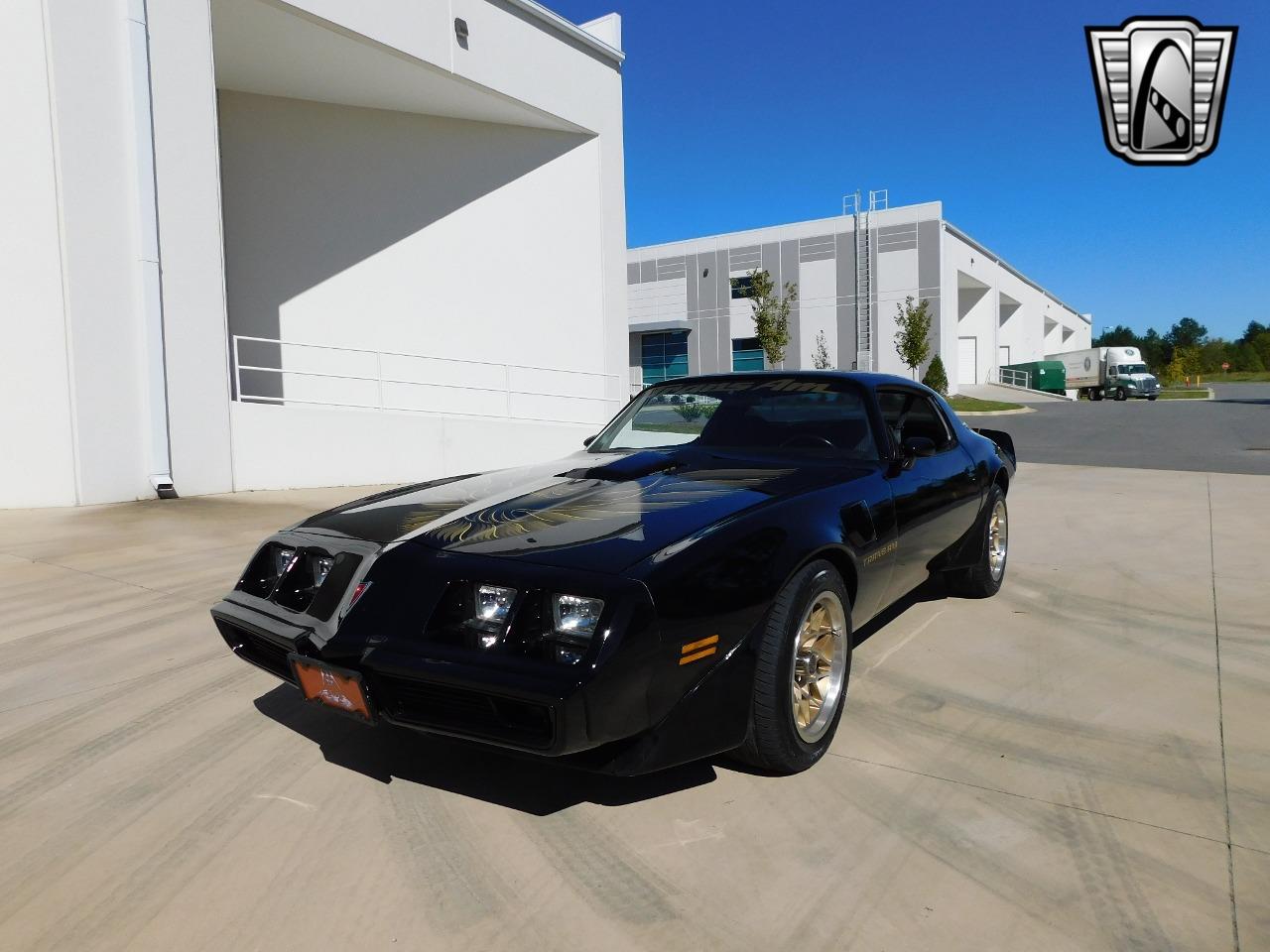 1981 pontiac firebird trans am