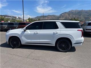 2025 Hyundai Palisade calligraphy night edition