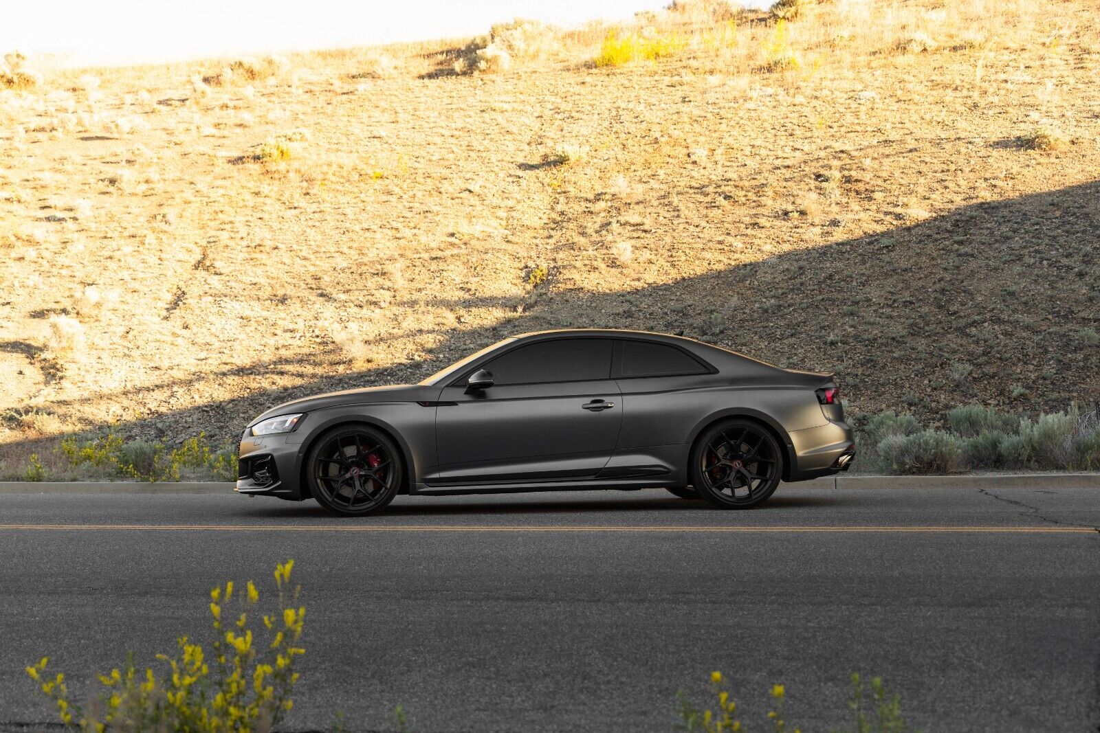 2019 audi rs5