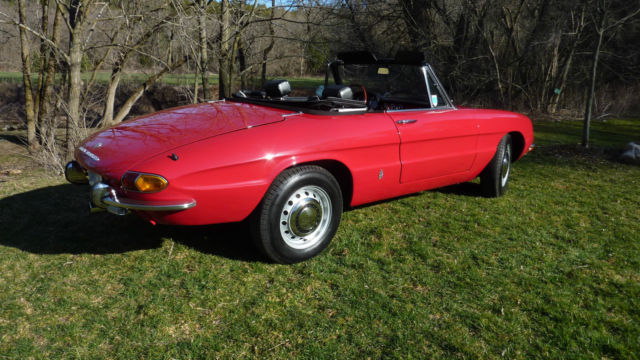 beautiful example of a pininfarina designed 'round tail' alfa spider