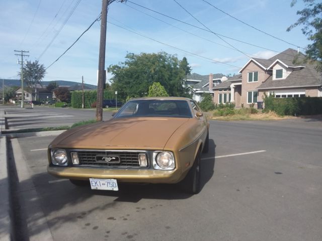 1973 ford mustang base hardtop 2-door 5.0l no reserve