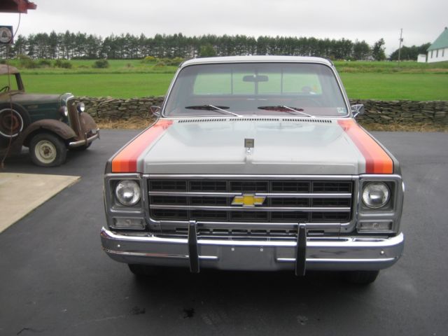 1979 chevrolet cheyenne truck