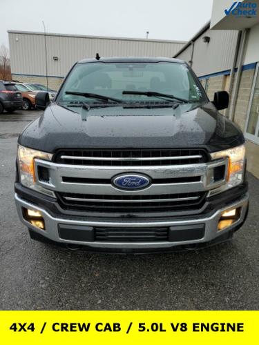 used 2019 ford f150 xlt nelliston, ny 13410 for sale in nelliston, new york