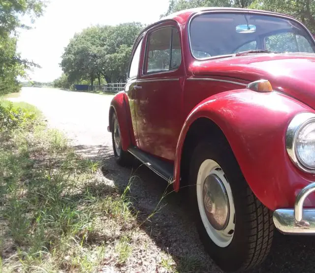 "survivor" bug with "birth certificate" original engine!