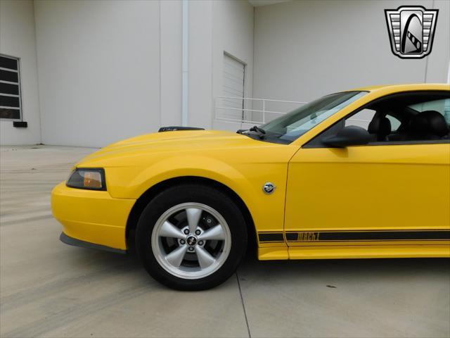 2004 ford mustang mach i