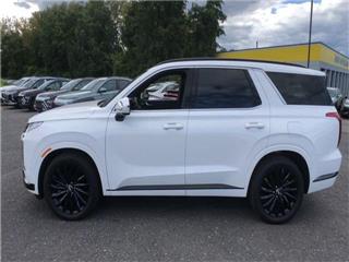 2024 Hyundai Palisade calligraphy night edition