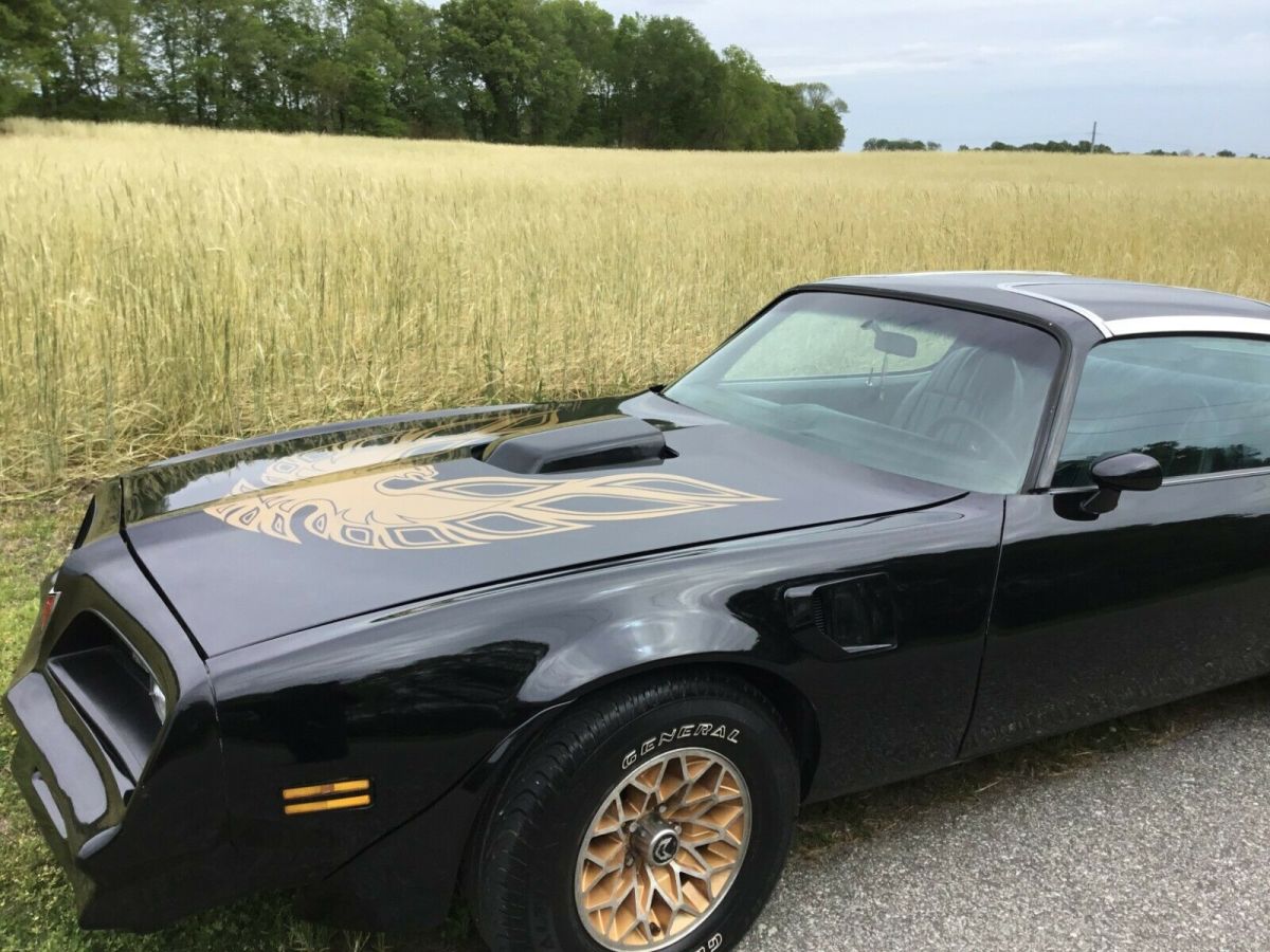 black is back ttops new engine new tranny new paint no rust driver quality ready
