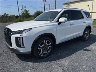 2025 Hyundai Palisade sel premium