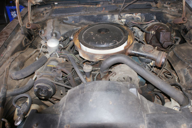 original unrestored 1979 trans am brown / tan 403