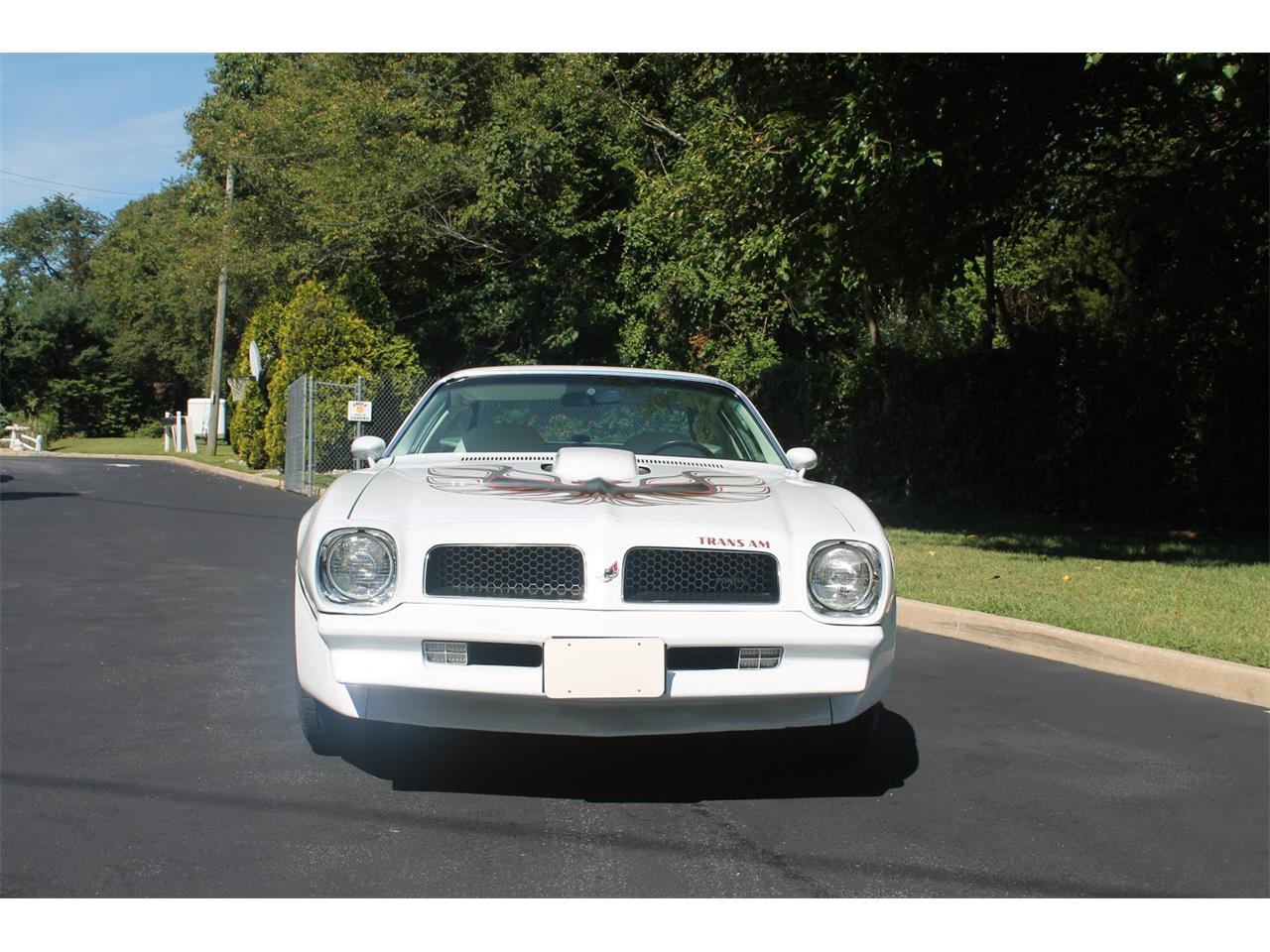 1976 pontiac firebird trans am