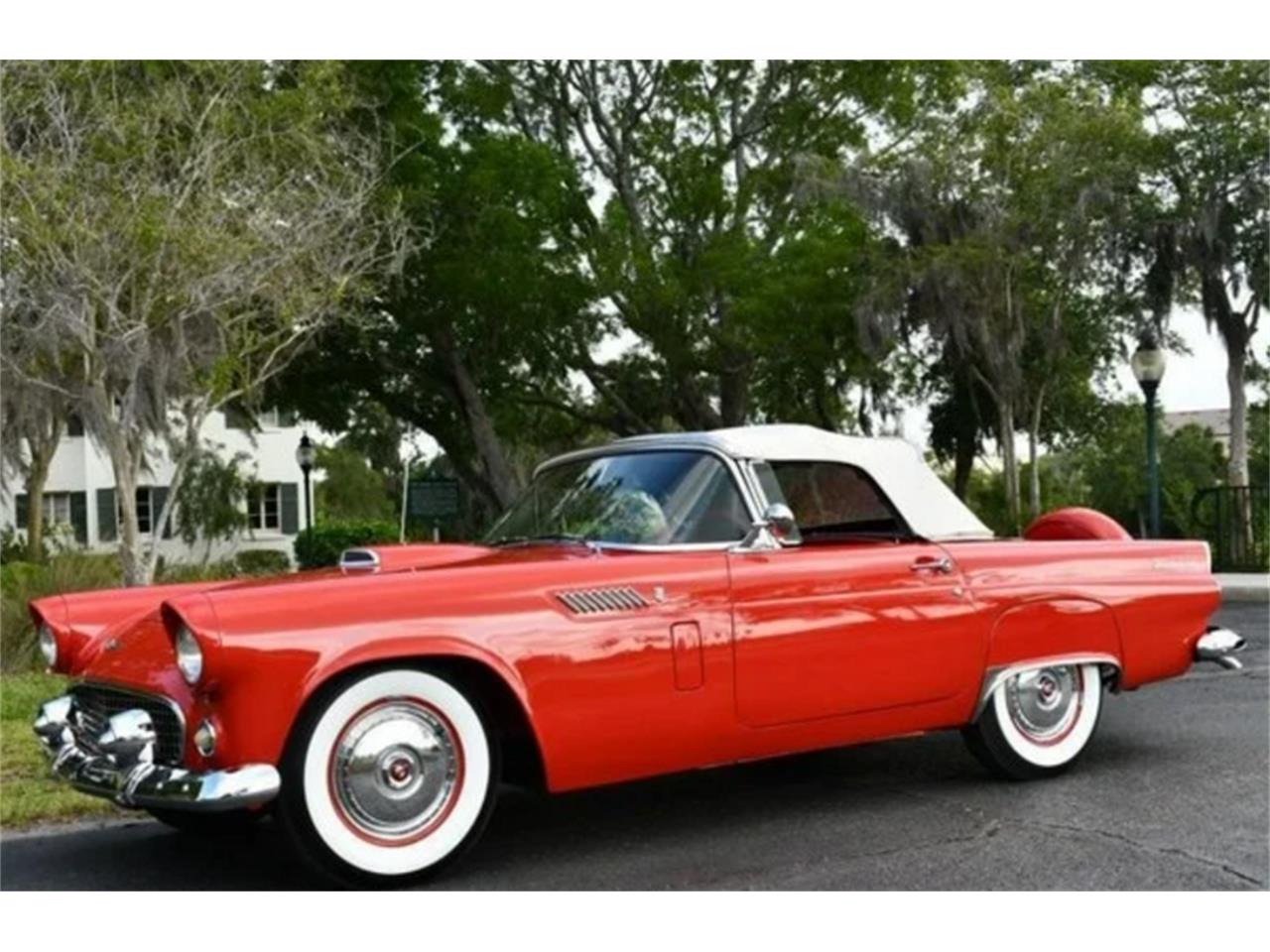 1956 ford thunderbird