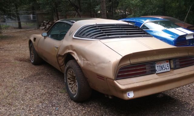 1978 firebird trans am gold edition t-top 6.6 liter numbers matching y88