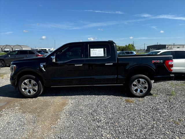 2023 ford f-150 platinum