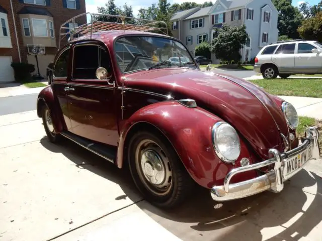 ruby red 1966 vw beetle bug