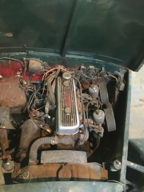 austin healey 100