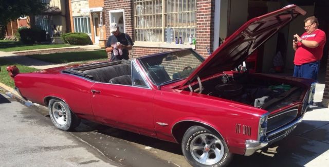 1966 lemans gto convertible