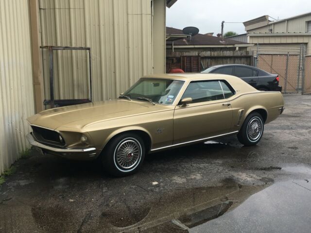 survivorish 1969 mustang grande