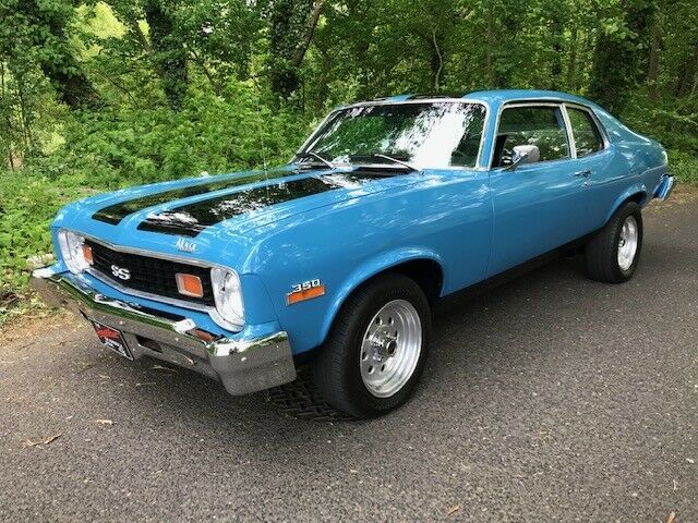 1974 chevrolet nova (out standing condition)