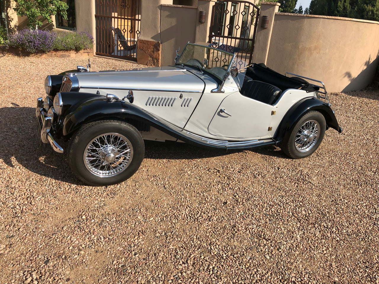 1954 mg tf