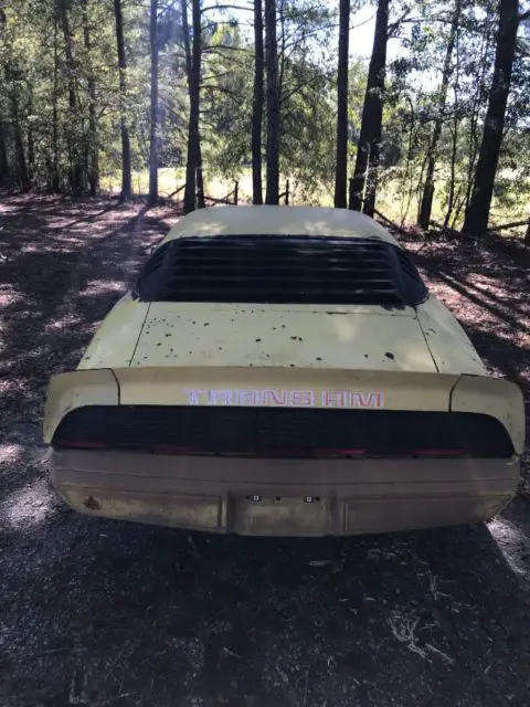 1979 trans am sundance yellow 4 speed!!