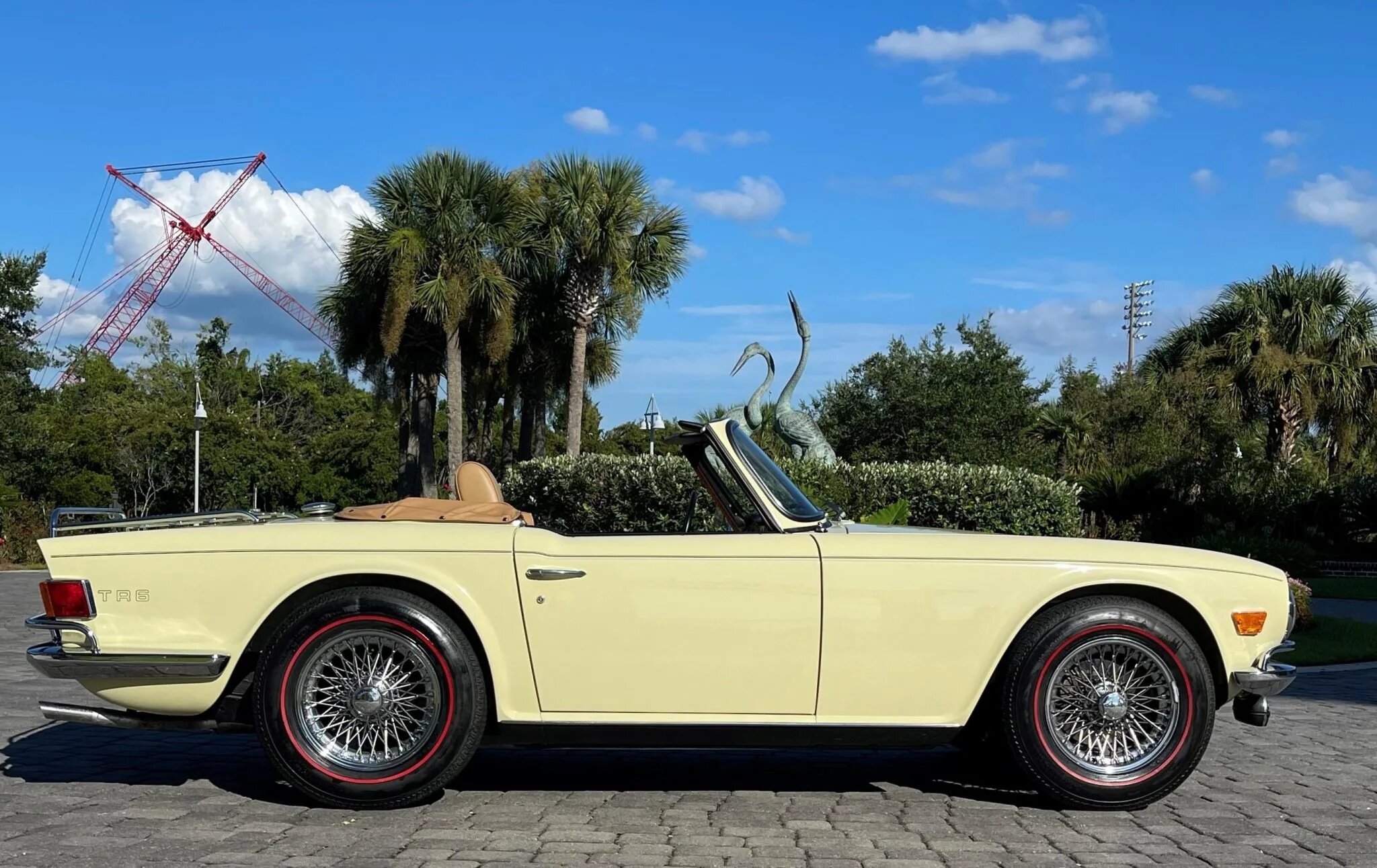 triumph tr6