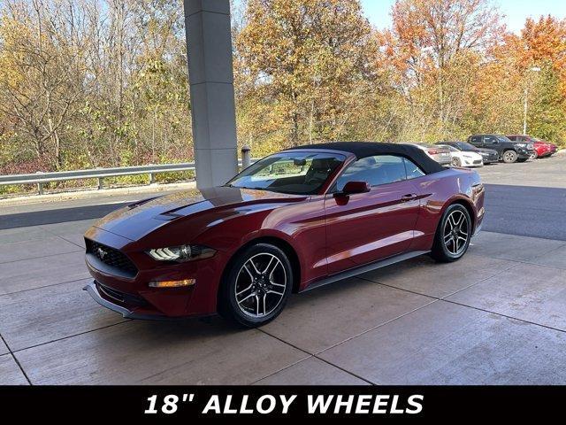 2019 ford mustang ecoboost premium