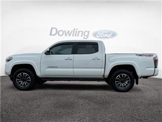 2020 Toyota Tacoma trd sport