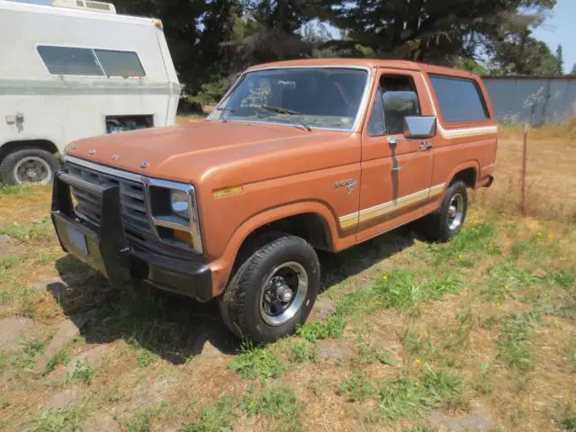 81 1981 ford bronco