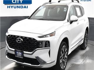 2022 Hyundai Santa Fe calligraphy