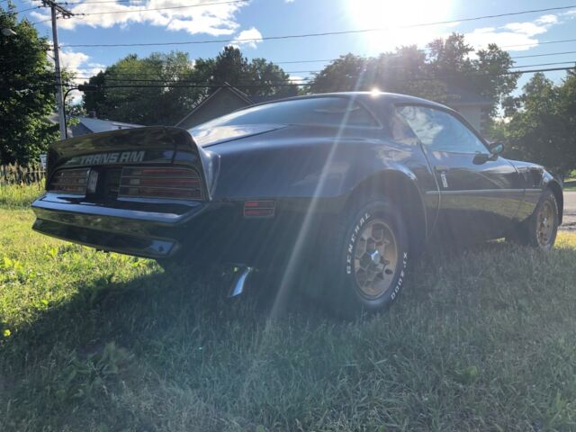 1976 trans am special edition