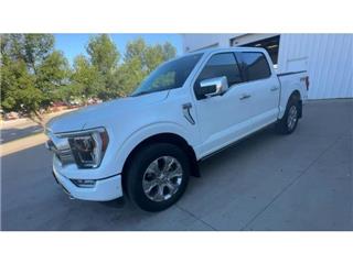 2021 Ford F-150 platinum