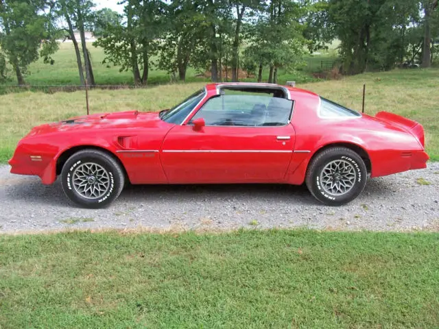78 trans am t-top red black 1978 macho pontiac 400 ta auto automatic muscle car