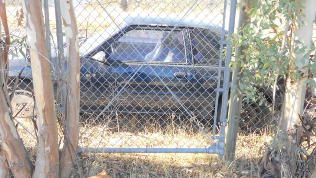 1984 ford mustang svo (early 1983 build date)
